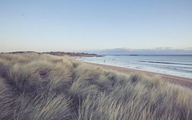 Craster Reach