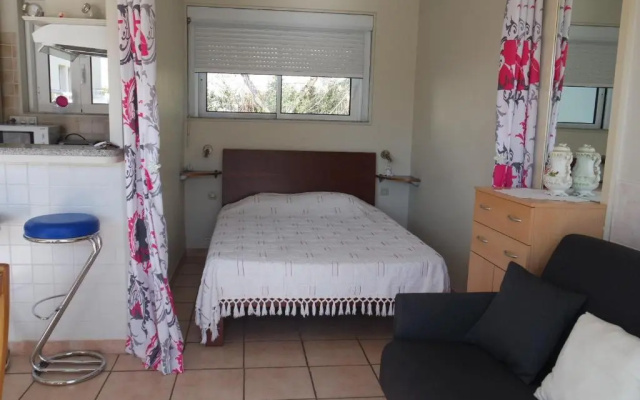 Appartement Arcachon, 1 Pièce, 4 Personnes - Fr-1-319-341