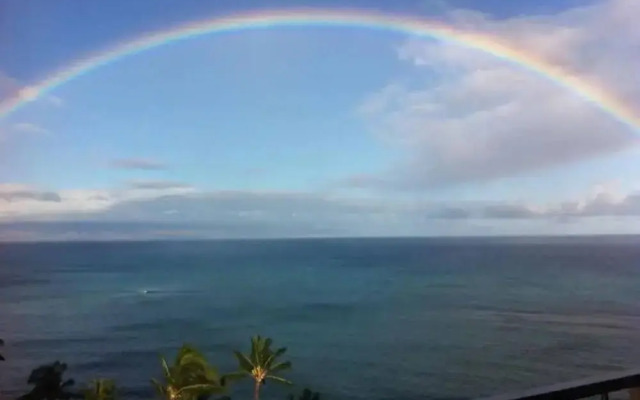Royal Kahana 404