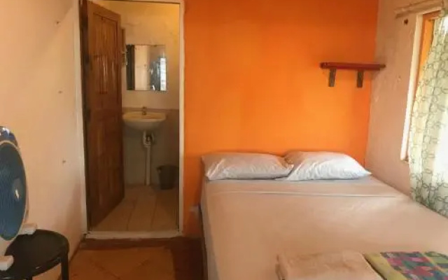 Coconut Hotel and Surf Hostel