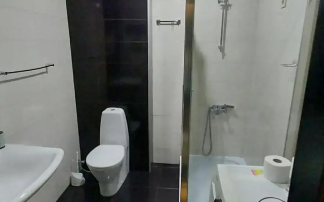 Apartment on Rustaveli