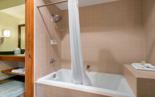 Comfort Inn & Suites Madison North