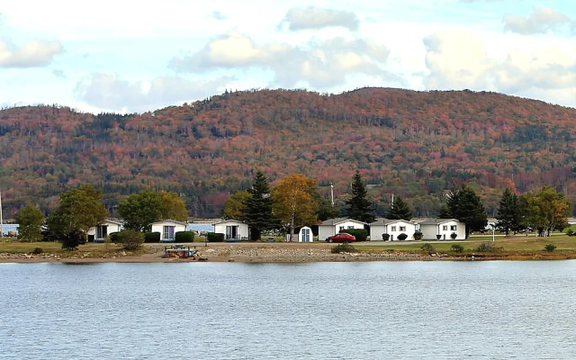 The Cove Cabins