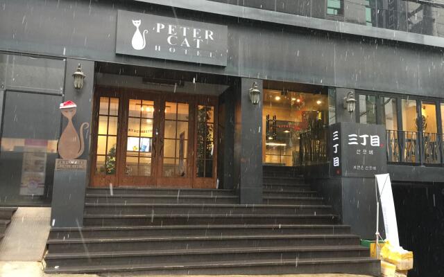 Petercat Hotel Sinchon(Hongdae) вид на фасад