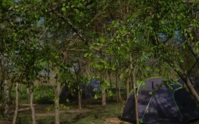Asante Afrika Camp Mikumi