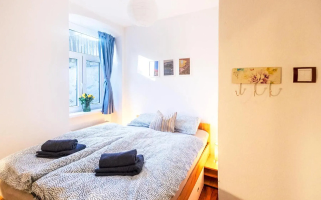 Downtown 2 rooms flat with garden and free garage parking