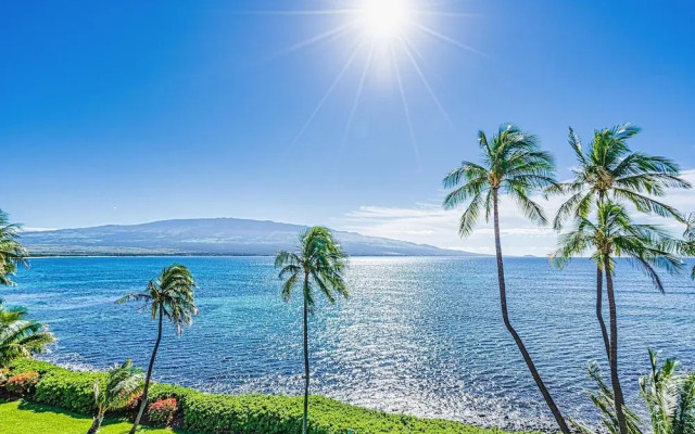 Maalaea Banyans 411