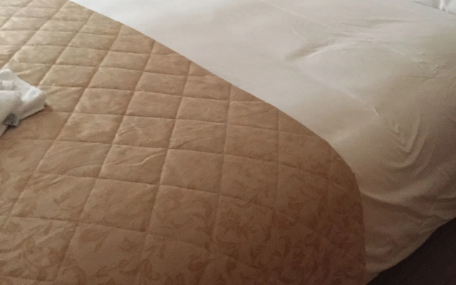 Ilfracombe Carlton Hotel - Hotel