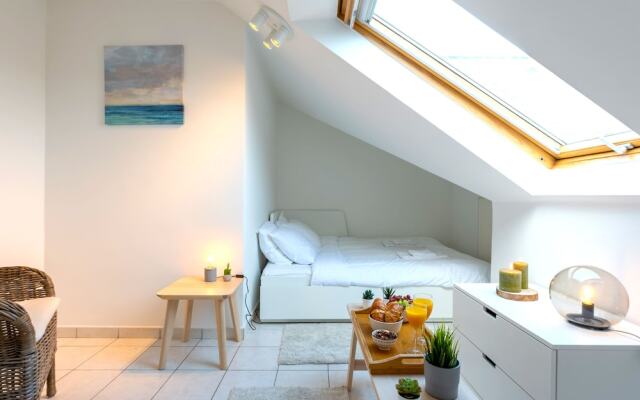 Отель Duplex 3-bedrooms Laeken Brussels Expo Бельгия, Брюссель - отзывы, цены и фото номеров - забронировать отель Duplex 3-bedrooms Laeken Brussels Expo онлайн комната для гостей