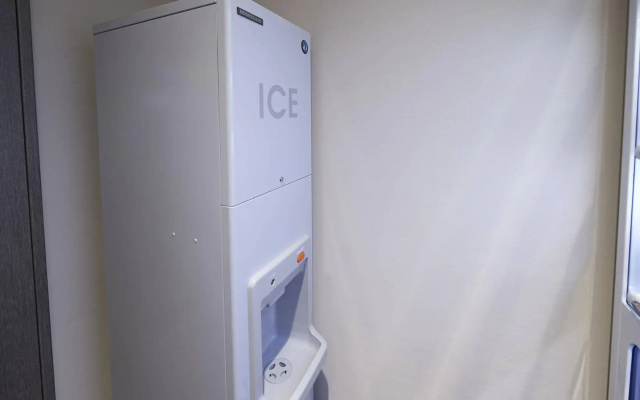 Отель Sotetsu Fresa Inn Ginza Nanachome