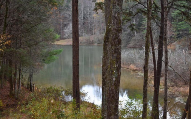 Misty Lake Lodge