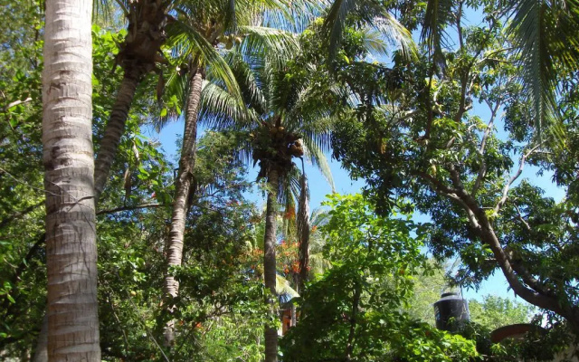 El Almendro