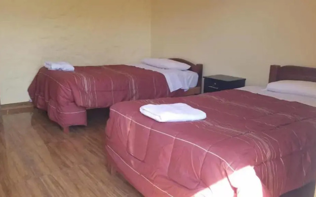 Las Palmeras Eco Hostel