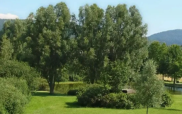 Hotel Auf der Buhn