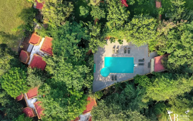 Tiger King Resort