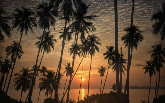 Ta-Lay Time KohMak