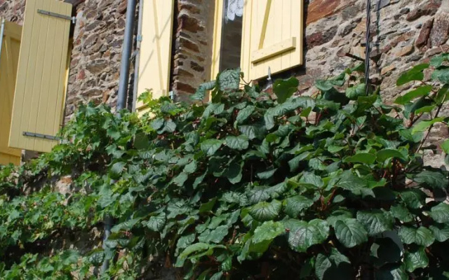 Gite Jousselin