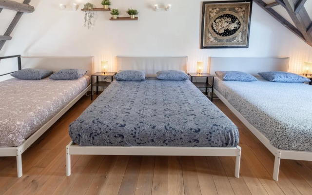 Spacious 11-person Stay in Antwerp