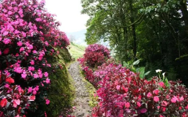 Hacienda las Nubes
