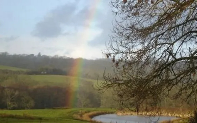 Ffynonwen Guest House and Restaurant