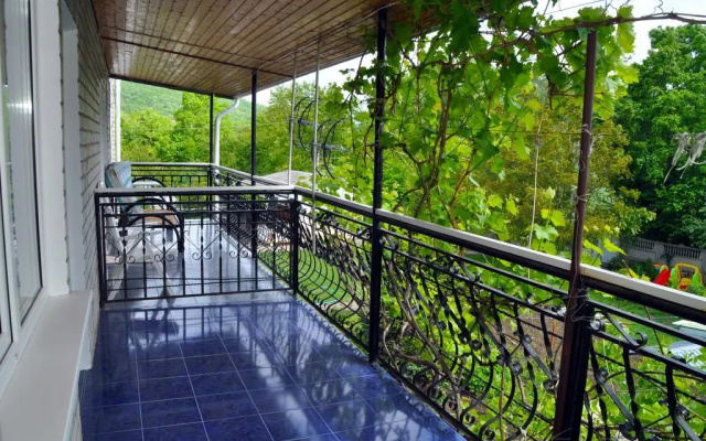 Guest House Dolphin