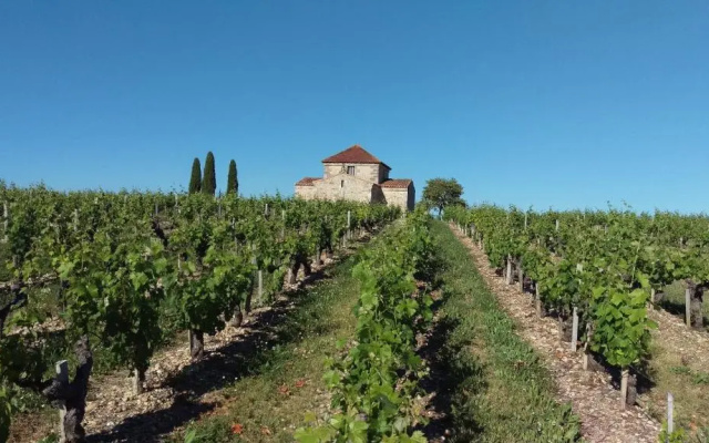 Au Cœur Des Vignobles