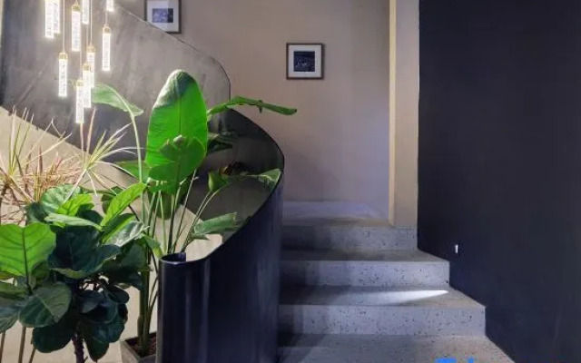 Mossy Guesthouse