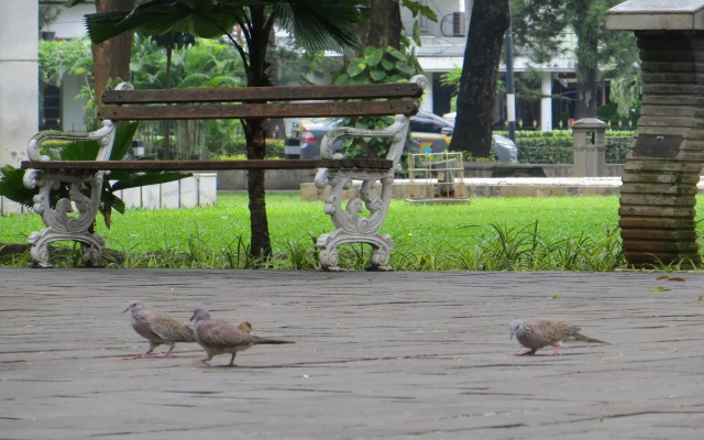 Bandara Transit
