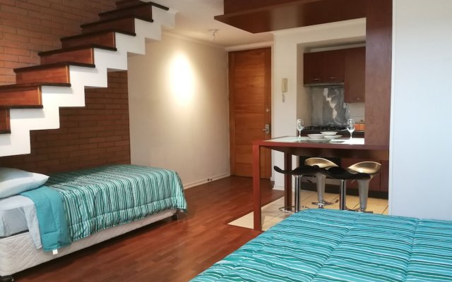 MG Apartments Bellas Artes in Santiago, Chile from 84$, photos, reviews - zenhotels.com