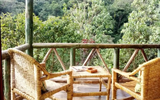 Gorilla Hills Eco Lodge