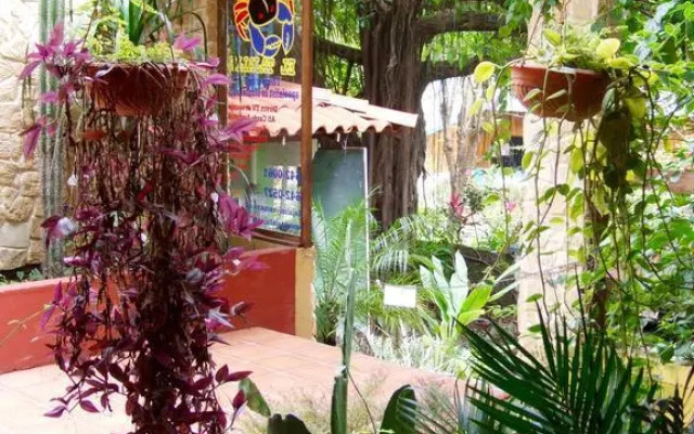 Hotel el Tajalin