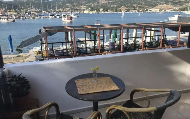 Vertigo Foca