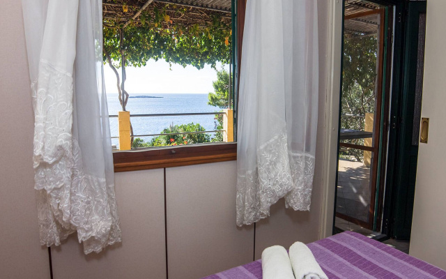 Holiday house Ani - 30 m from beach : Maslinica, Island Solta