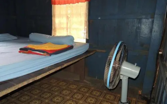 Golden Cat Guesthouse