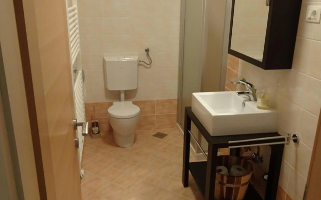 ALPIN apartma