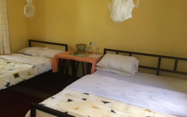 Acacia Tree Apartments