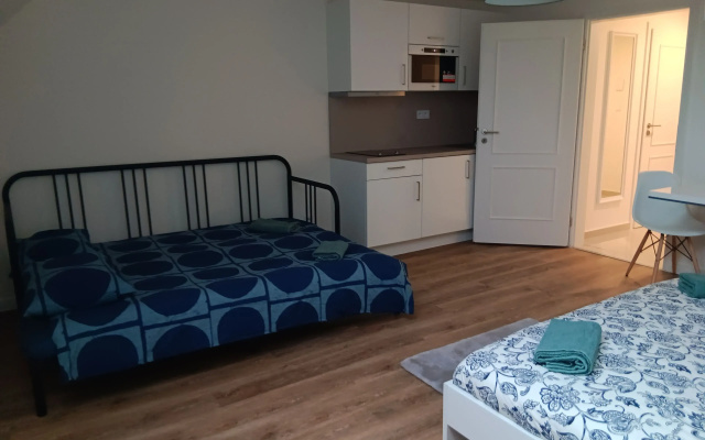 1 Br Apartment at Prague 1