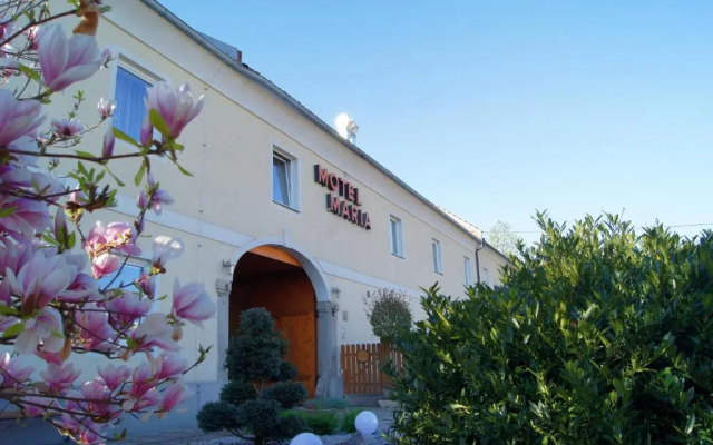 Hotel Leo