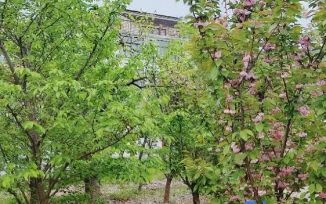 Tai Lake San Shan Island Fortune Homestay