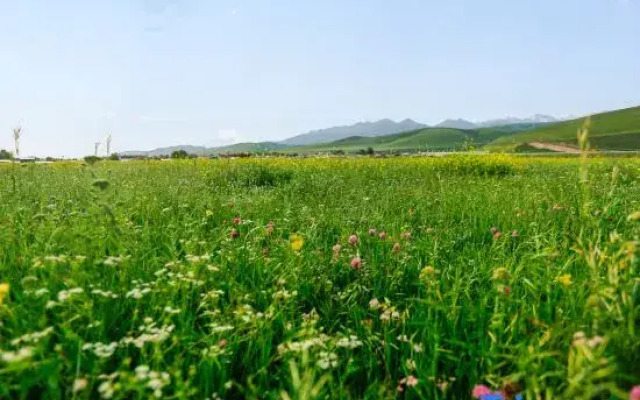 Mountain Jingmu Wo B&B