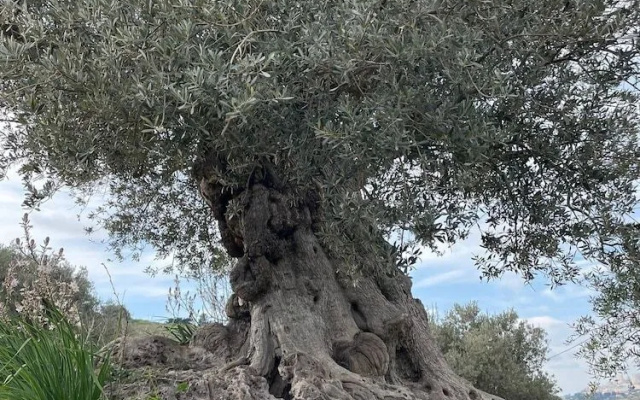 Holiday House Agrigento
