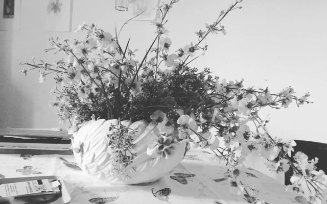 Bed Breakfast San Michele