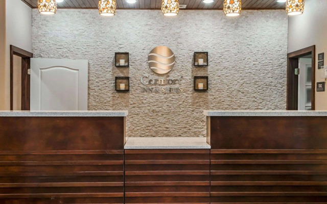Comfort Inn & Suites Pharr - McAllen