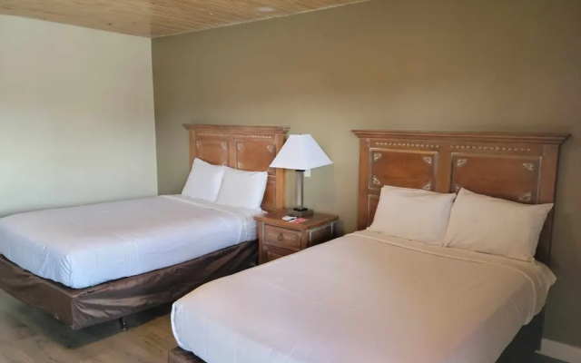 Econo Lodge Springerville