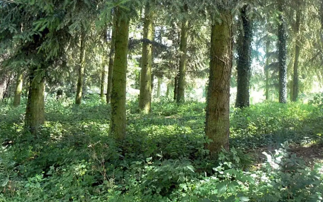 Chambre d'hôtes du Moulin de Landonvillers