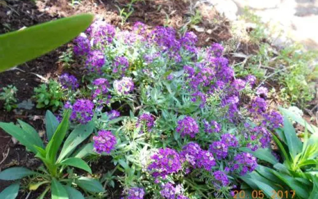 Rooms Marijana