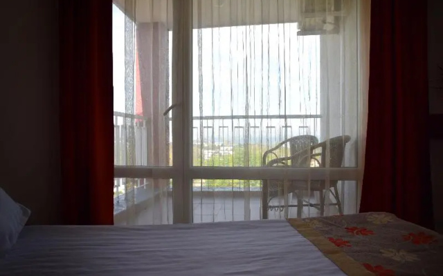 Complex Hotelier Vulturul