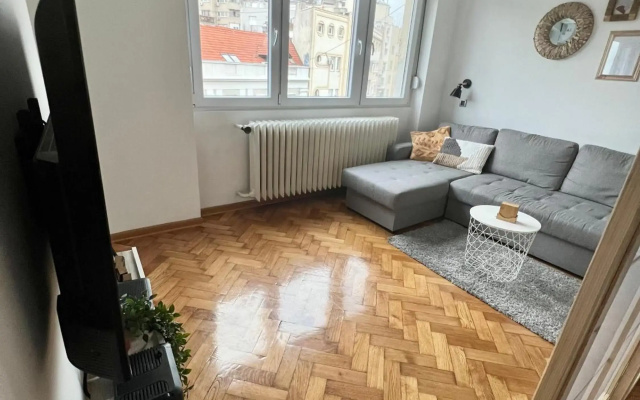 Comfortable apartment in city hub