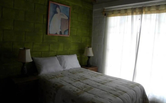 Casa Tulipan