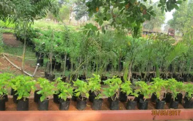 Nisarga Agro Resort
